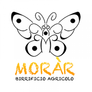 Logo aderente